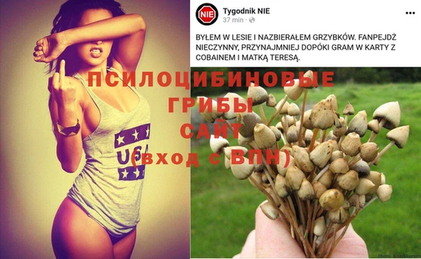 гидропоника Балабаново