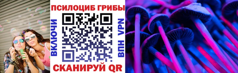 Псилоцибиновые грибы мухоморы  блэк спрут как войти  Давлеканово 